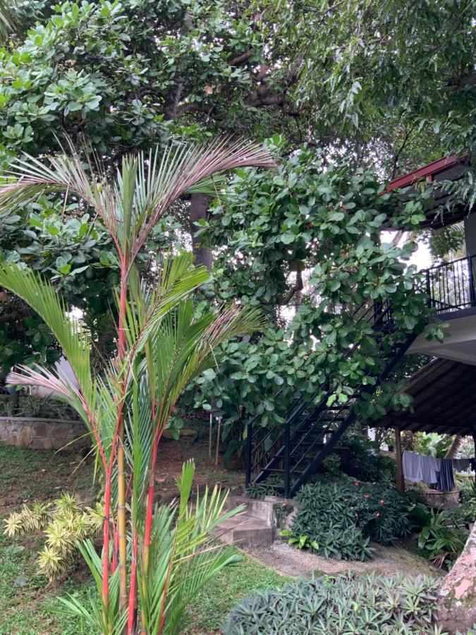 גאלה Lali Villa & Fruit Garden מראה חיצוני תמונה