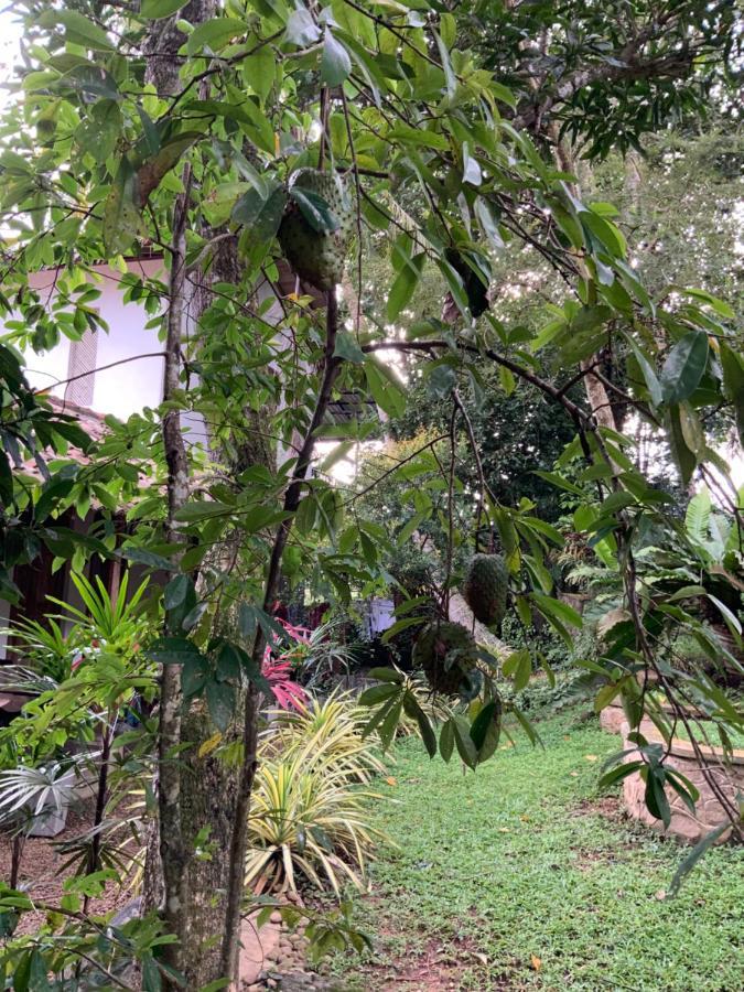 גאלה Lali Villa & Fruit Garden מראה חיצוני תמונה