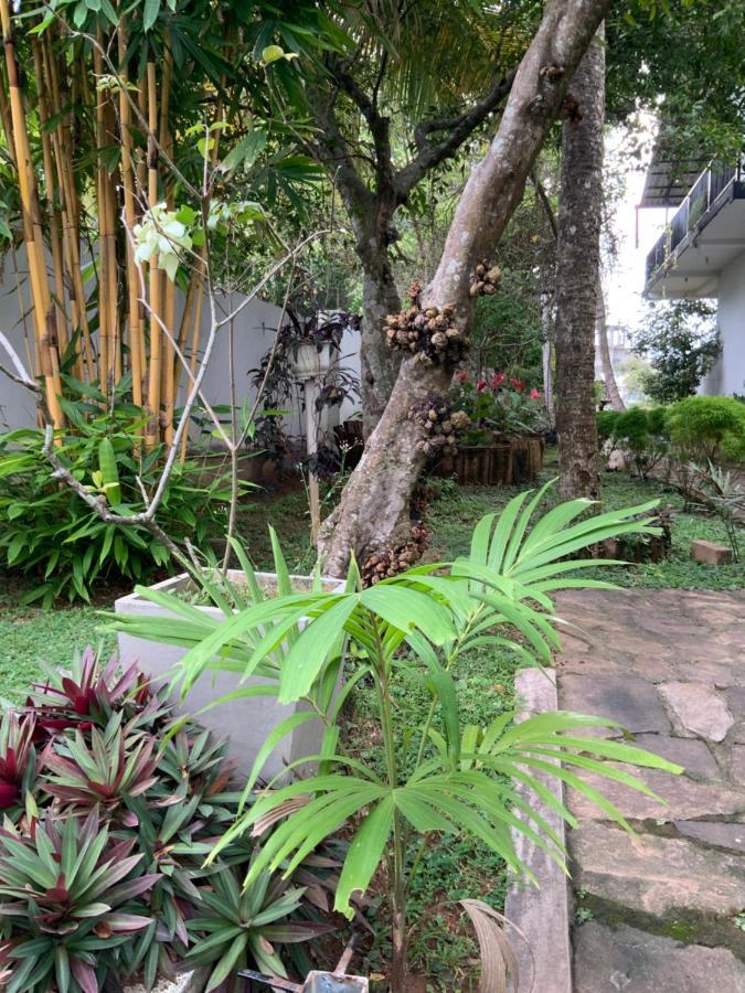 גאלה Lali Villa & Fruit Garden מראה חיצוני תמונה