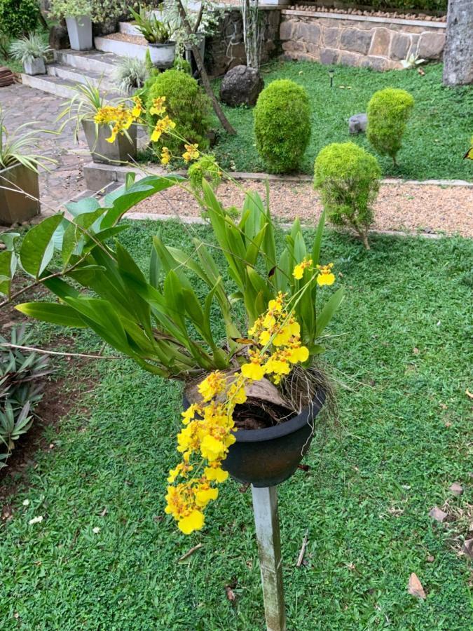 גאלה Lali Villa & Fruit Garden מראה חיצוני תמונה