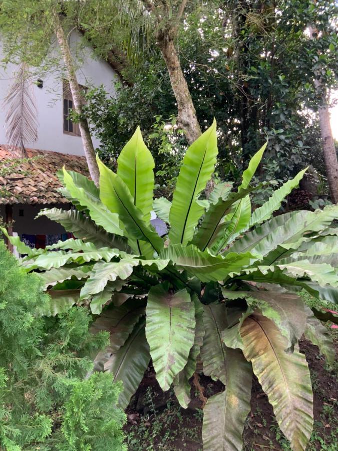 גאלה Lali Villa & Fruit Garden מראה חיצוני תמונה