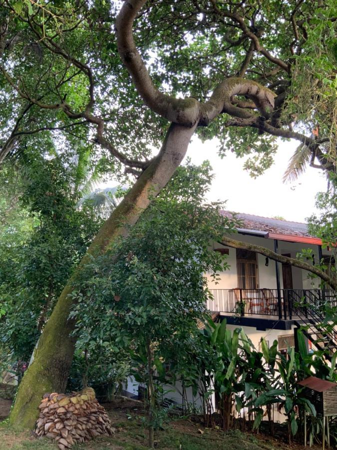 גאלה Lali Villa & Fruit Garden מראה חיצוני תמונה