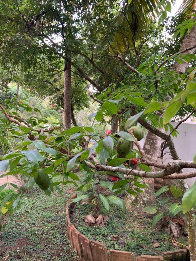 גאלה Lali Villa & Fruit Garden מראה חיצוני תמונה