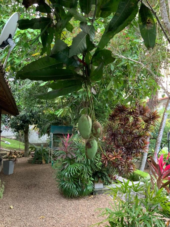 גאלה Lali Villa & Fruit Garden מראה חיצוני תמונה